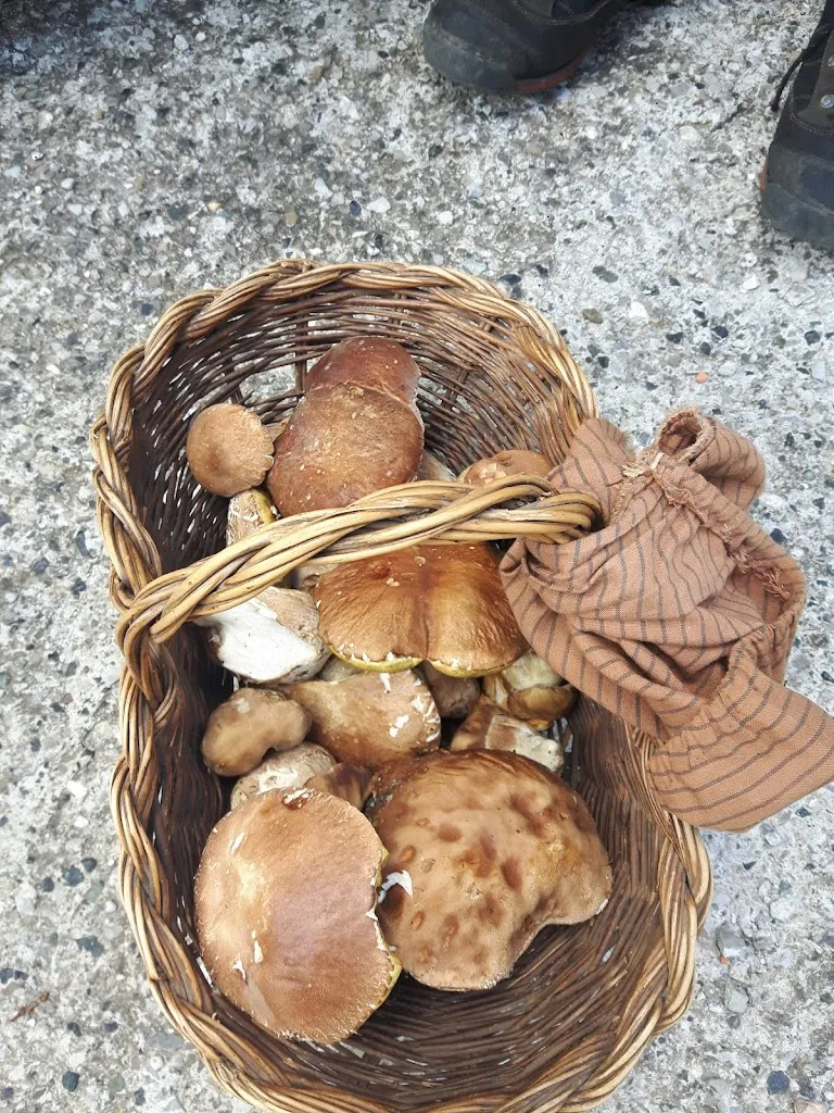 Ferrari Maria_Ferriere_slider_image_2