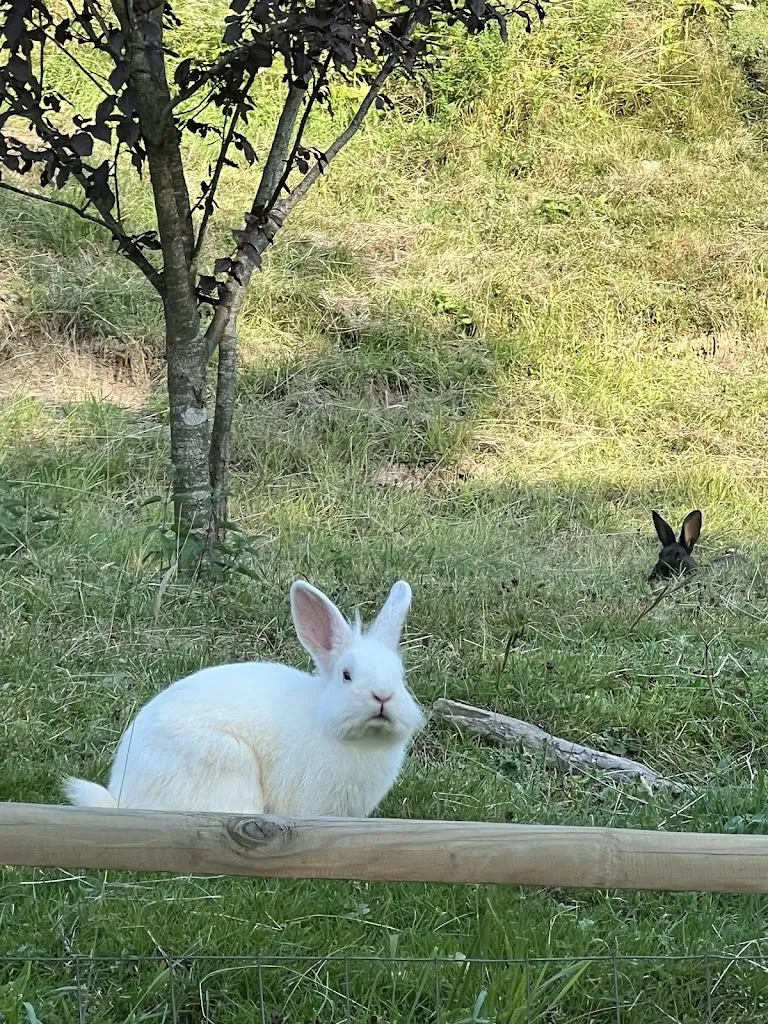 Barbara Begani_Trattoria Al Valico_Fontanigorda_review