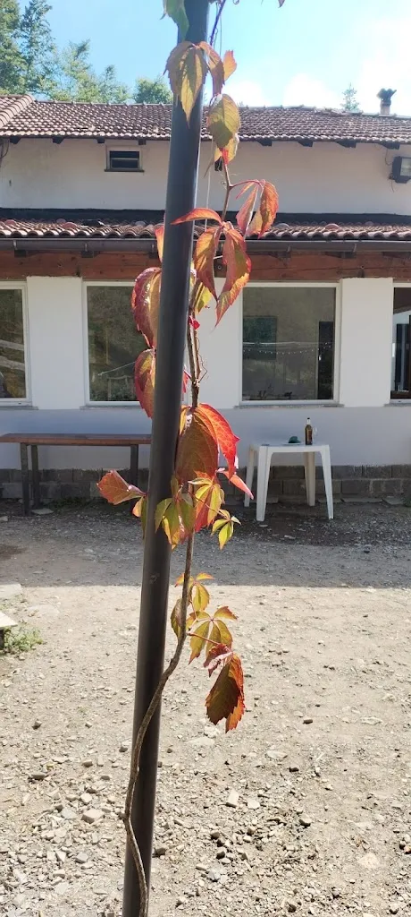 Sonja_Trattoria Al Valico_Fontanigorda_review