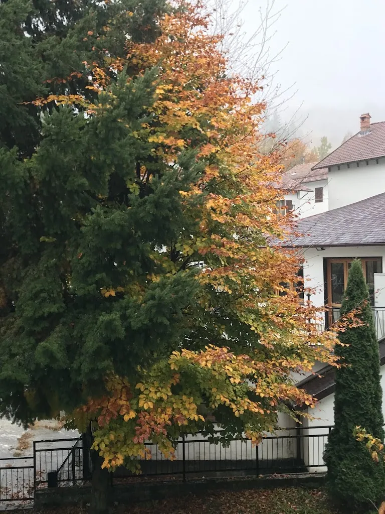 Fontanigorda_Fontanigorda_slider_image_2