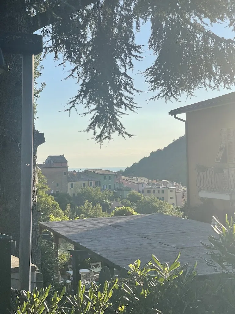 A V_Meri_Framura_review