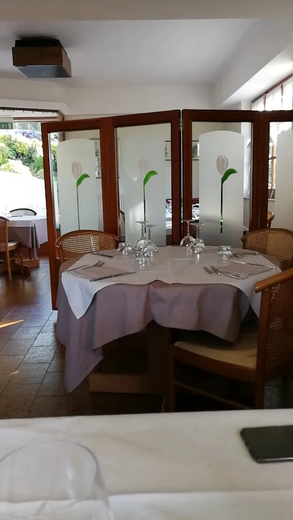 Meri_Framura_slider_image_2