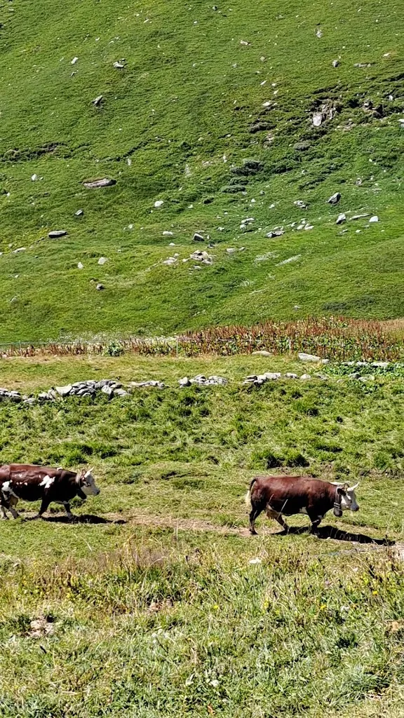 Bar Jutz_Gressoney-La-Trinitè_slider_image_2