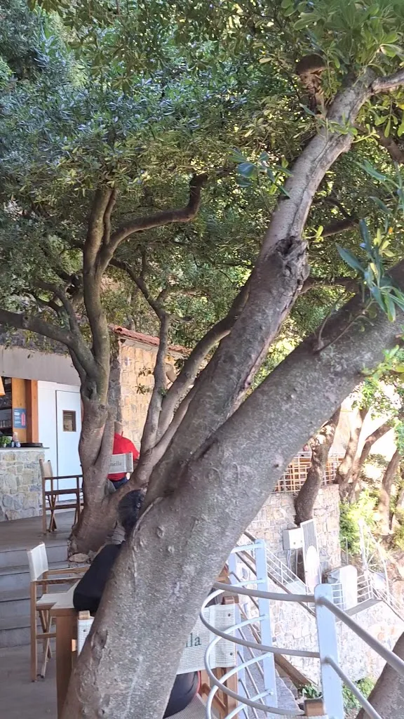 Laura_la marinella | Seaside Bistrot & Cocktail Bar_Lerici_review