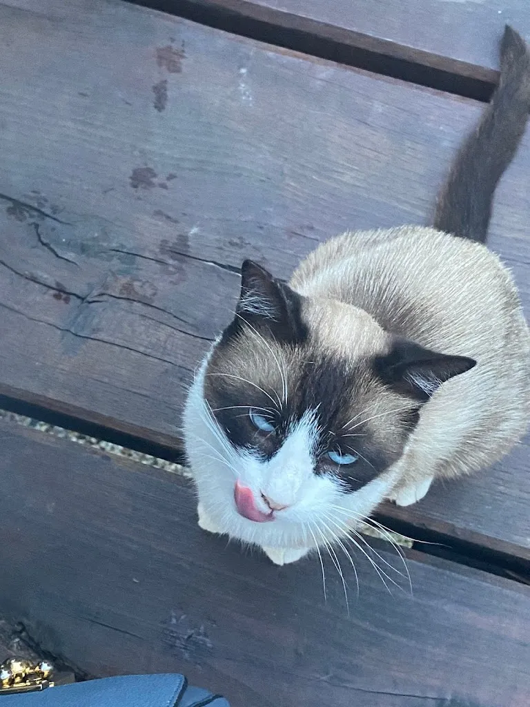 Peter_La Bilaia | Agri Ristorante Gourmet_Lavagna_recensione