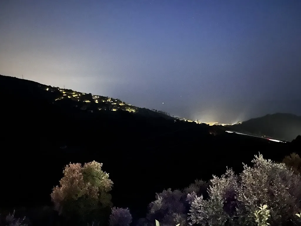 Christopher Louis_Trattoria l' Ulivo_Lavagna_review