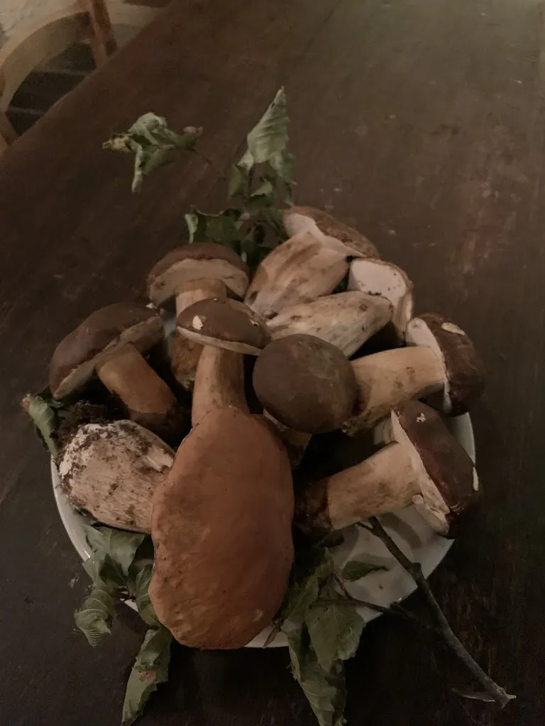 Dan_Trattoria l' Ulivo_Lavagna_review