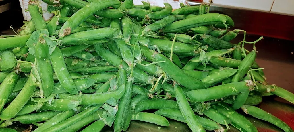 Menu_Ô Feügo_Lavagna_immagine_8