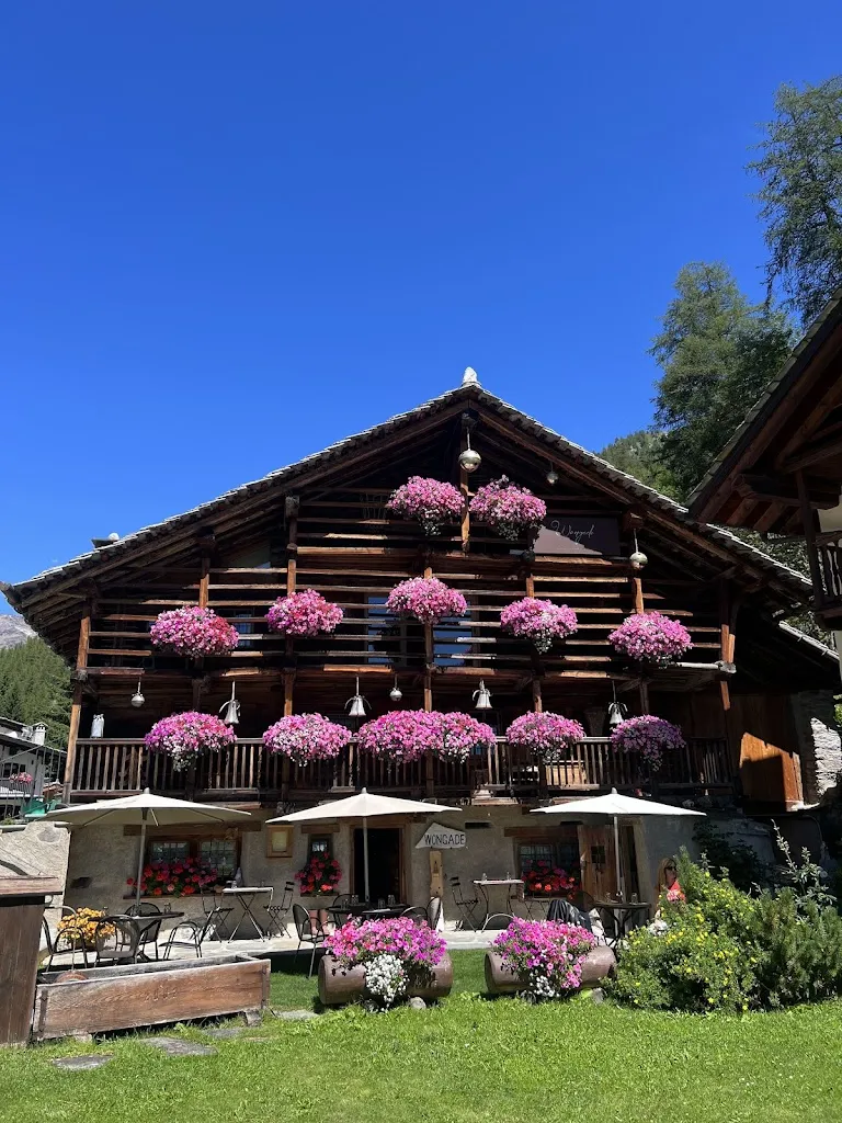 Leo Welf_La Chambres D'Hôtes Wongade_Gressoney-La-Trinitè_review