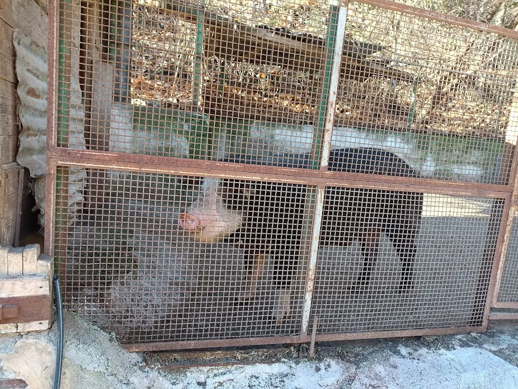 Il Castagno_Mendatica_slider_image_2