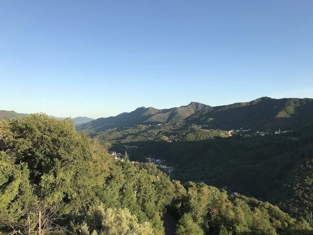 TJ G_Trattoria del Pippo da Ugo_Neirone_review