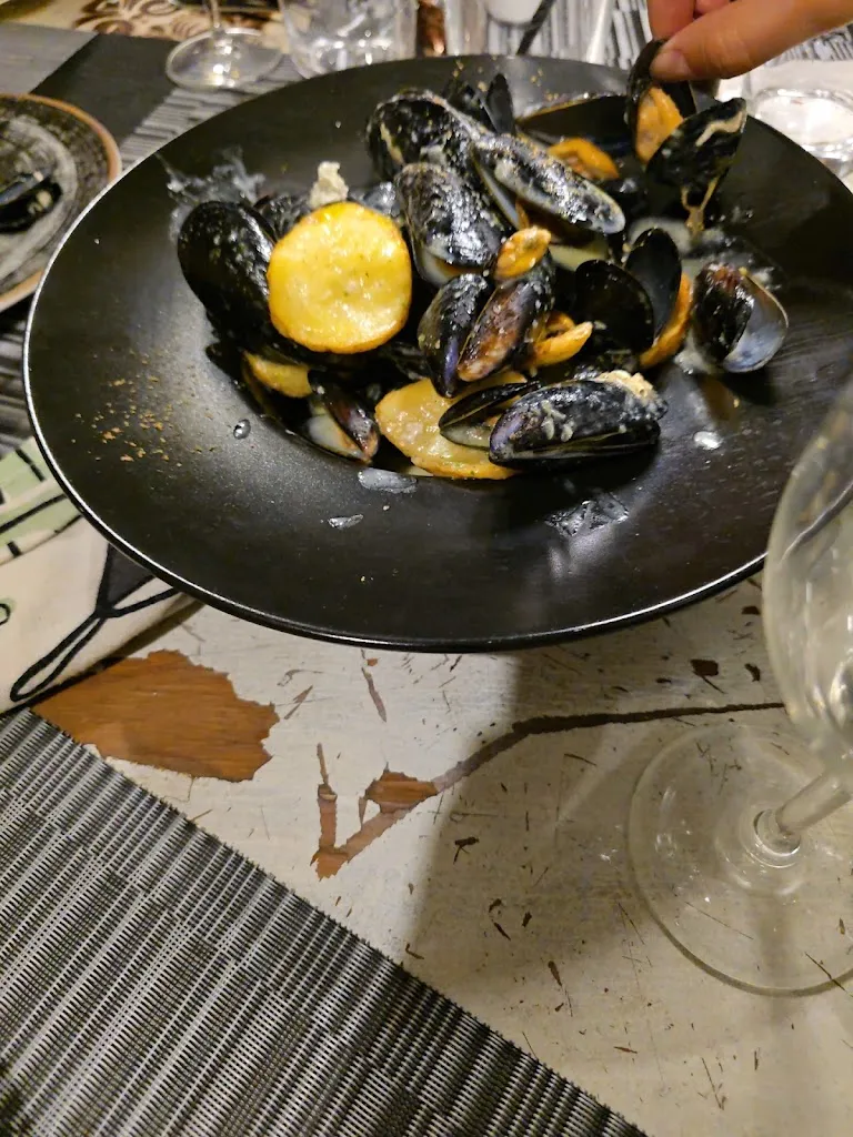 Ahmad Shallouf_O-Belin_Moneglia_review