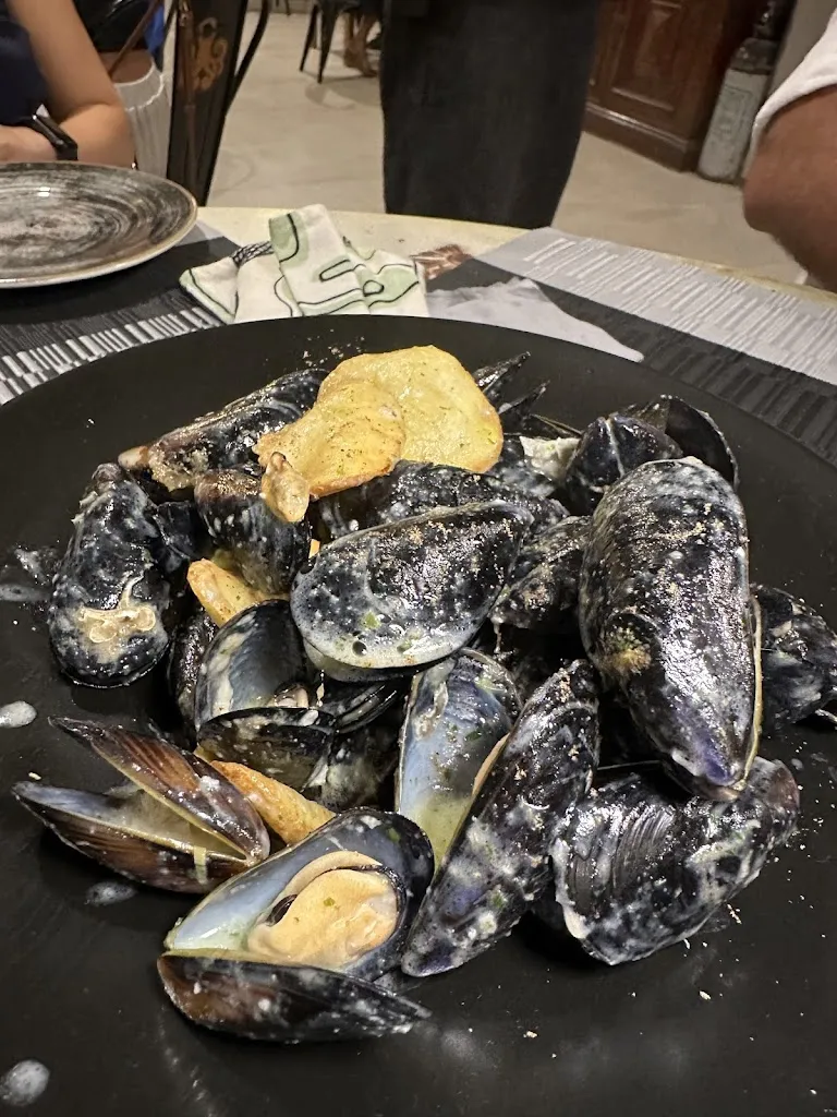 sarah dergham_O-Belin_Moneglia_review