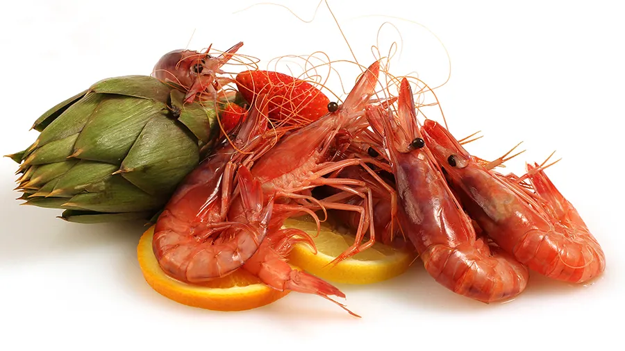 Ponte Antico_Noli_slider_image_2