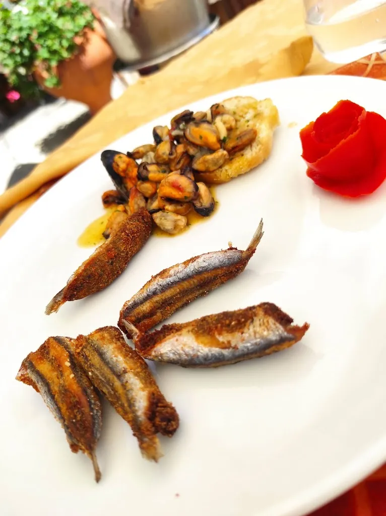 Tilde Lombardini_Lilliput_Noli_review