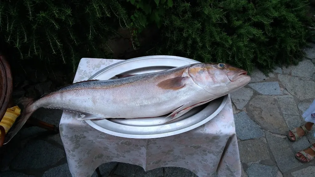 Andrea Anolli_Lilliput_Noli_review