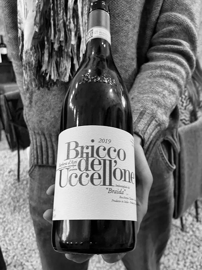 Thor Hansen_Sapido_Noli_review