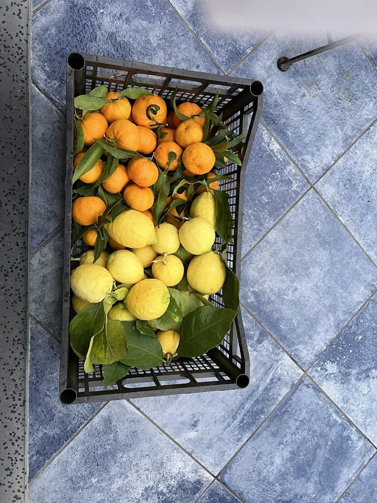 Dean Arnold_Il Paradiso di Manù_Noli_review