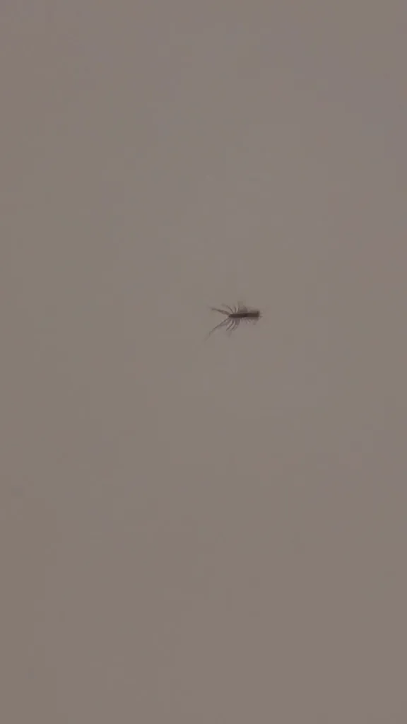 S M_Locanda Borgo Antico_Orco Feglino_review