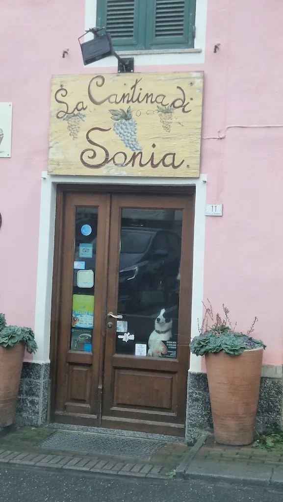 Alessandro Scalia_La Cantina di Sonia_Ortovero_review