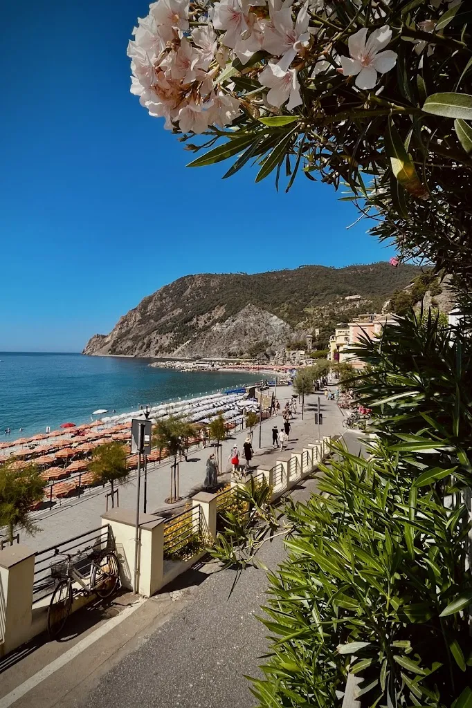 Il Baretto Di Landi Claudio E C. S.N.C._Monterosso al Mare_slider_image_3