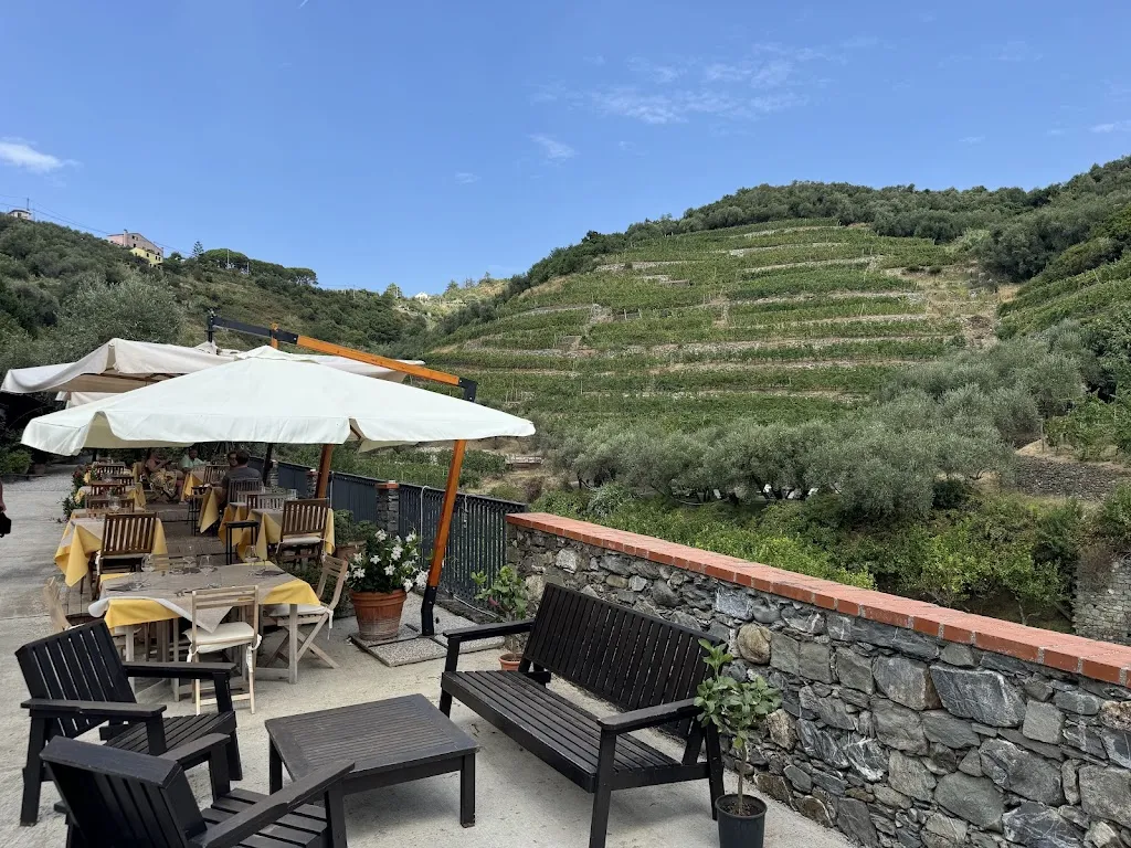 Buranco Winery_Monterosso al Mare_slider_image_1