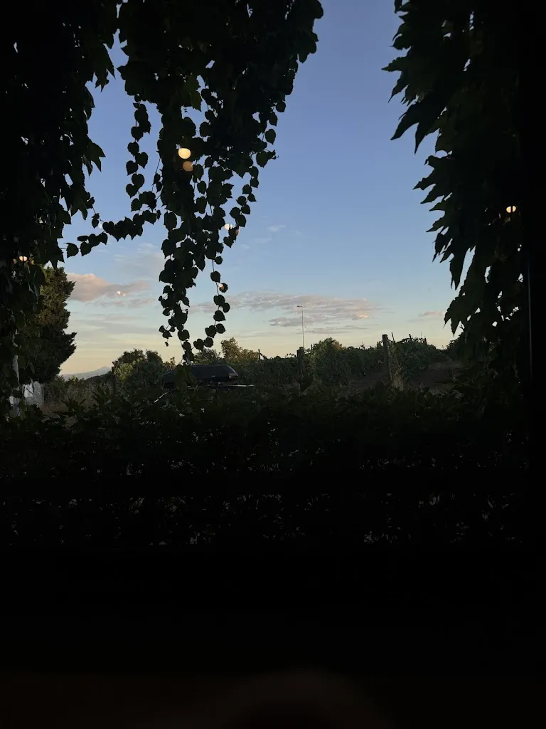 Jannis_Osteria Del Cacciatore_Osteria dei Cacciatori-Stella_review