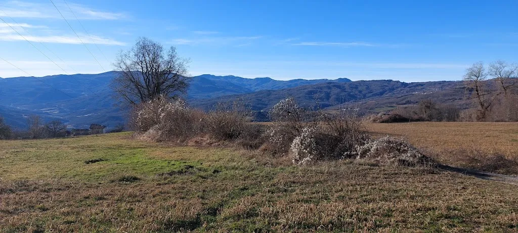 Simone Casotto_Trattoria dei Cacciatori_Osteria dei Cacciatori-Stella_review