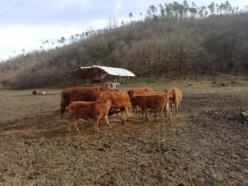 Azienda Agricola Scappazzoni - Padivarma_Padivarma_slider_image_2