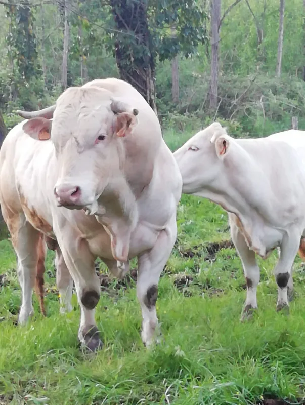 Azienda Agricola Scappazzoni - Padivarma_Padivarma_slider_image_3