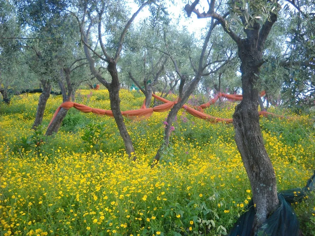 Agriturismo L'Erba Persa_Padivarma_slider_image_3