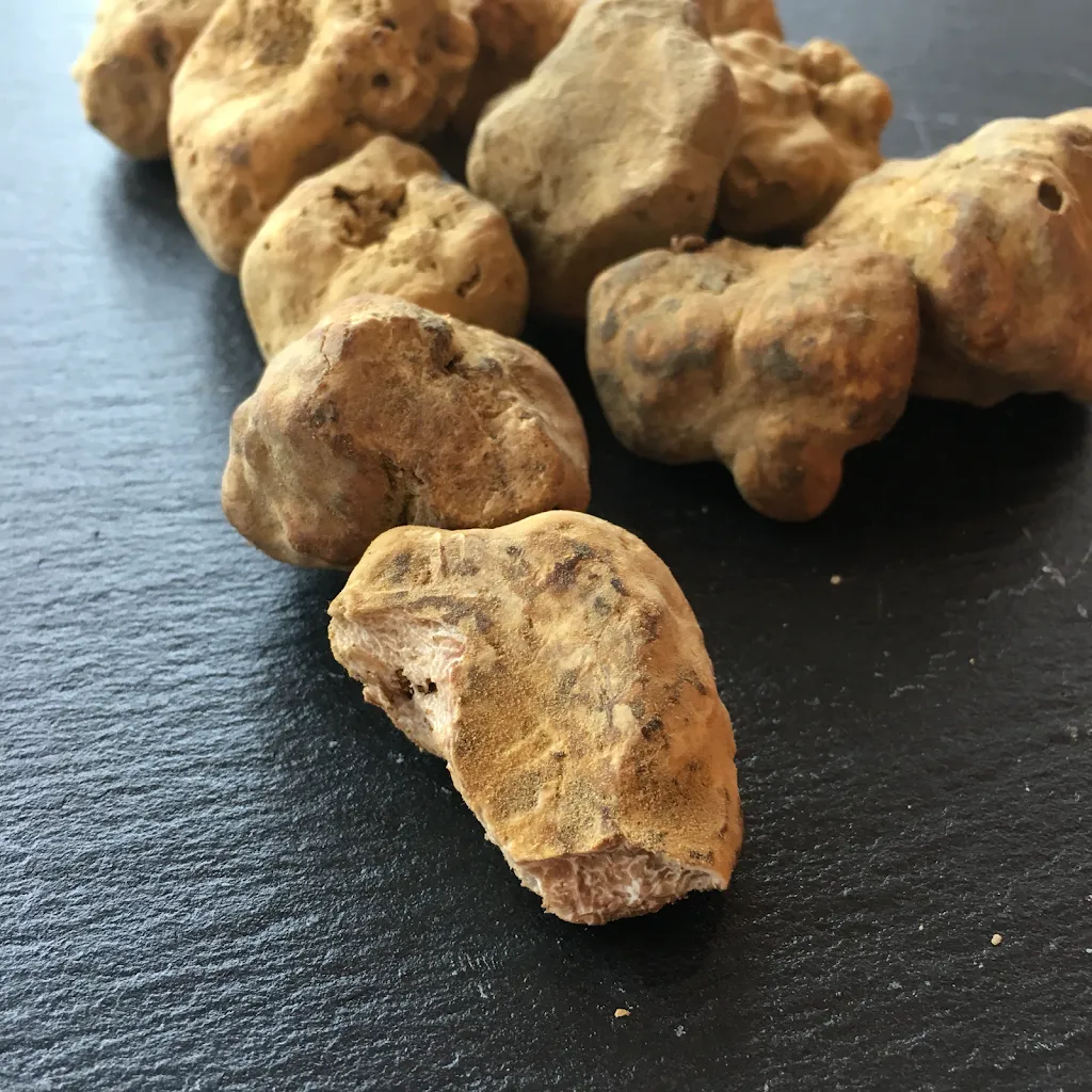 Menu_Trattoria La Loggia_Padivarma_image_7