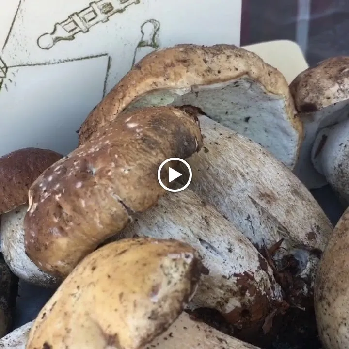 Trattoria La Loggia_Padivarma_slider_image_2