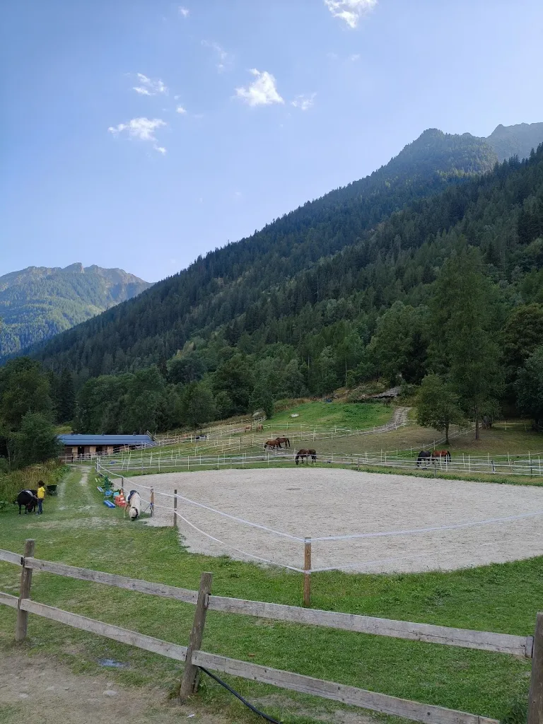 Marina Zanatta_Café Des Guides_Gressoney-Saint-Jean_review