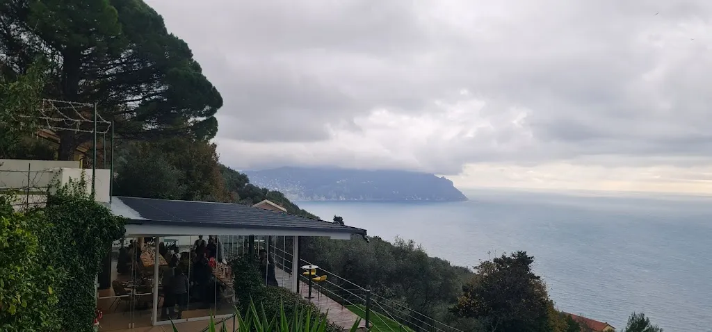 Andrea Fiumalbi_Tenuta Golfo Paradiso_Pieve Ligure_review