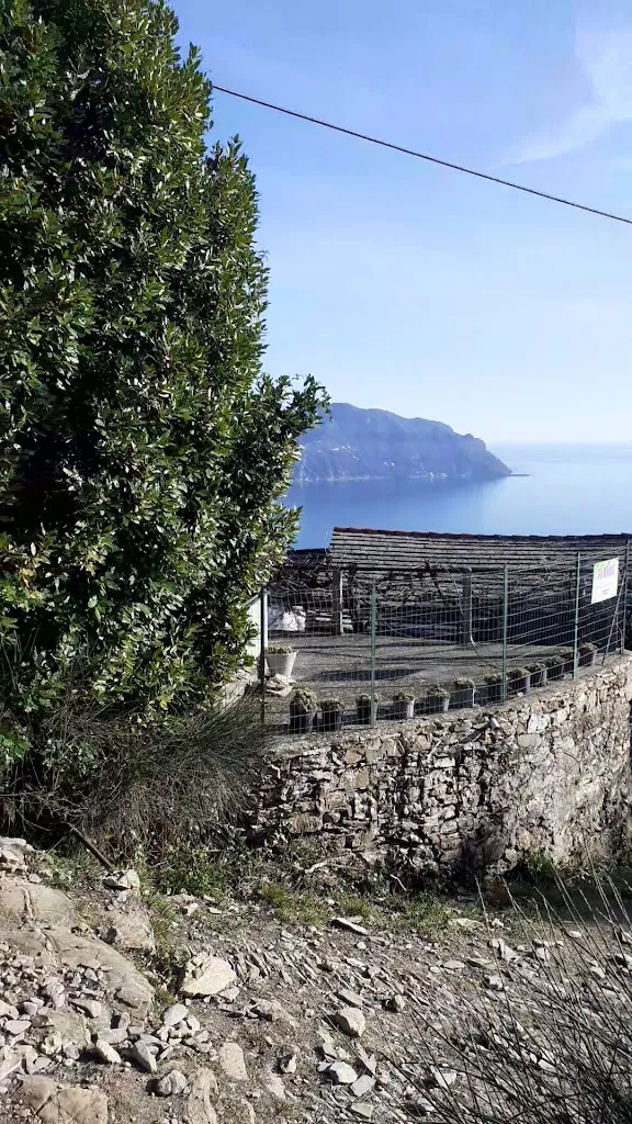 Tenuta Golfo Paradiso_Pieve Ligure_slider_image_2