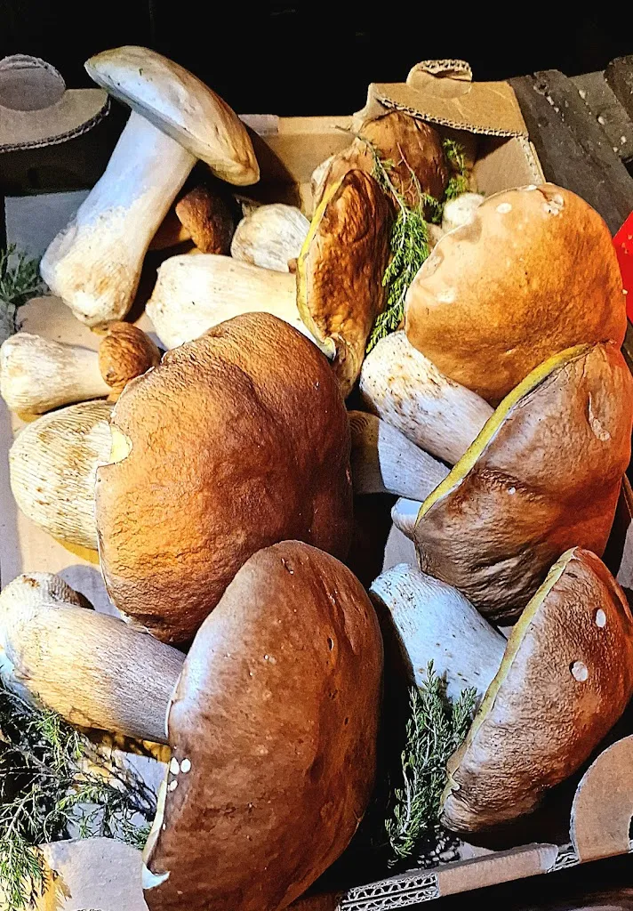 Menu_La Pineta_Pontinvrea_image_6