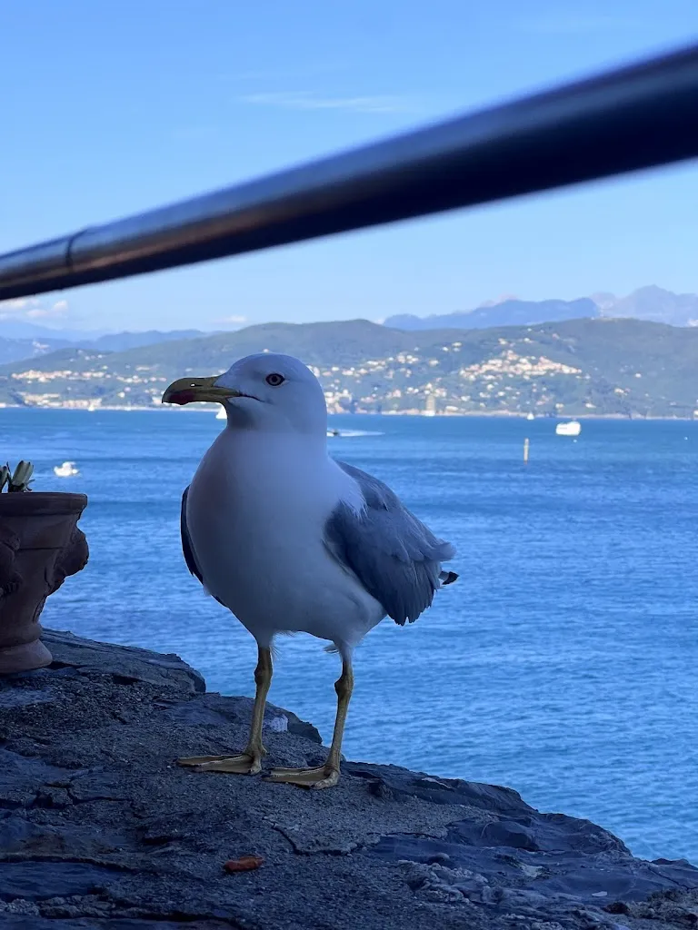 Benjamin Jacob_Torre di Venere_Portovenere_review