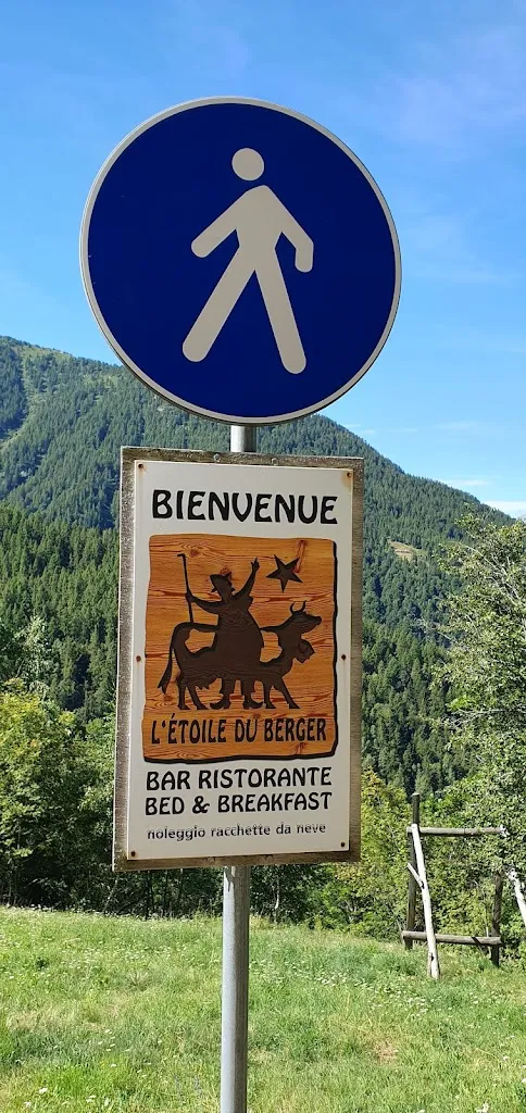 Rotem Leshem_L'Etoile Du Berger_Lillianes_review