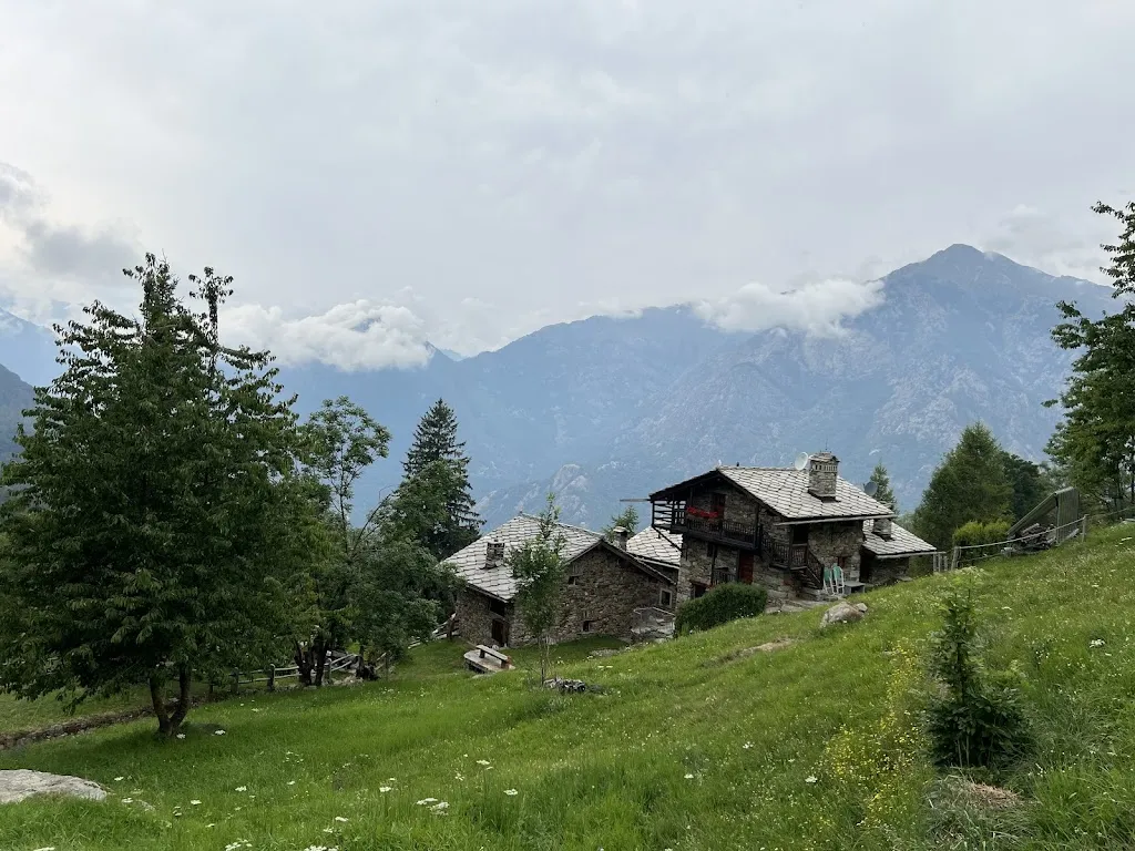 Daniel Metzler_L'Etoile Du Berger_Lillianes_review