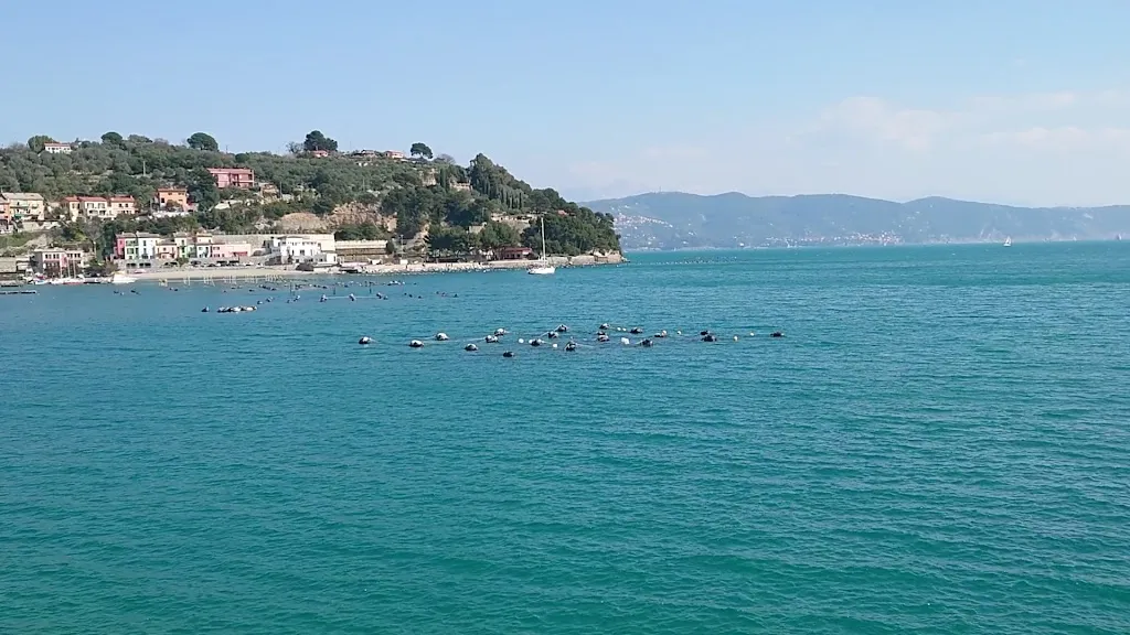 Spiaggia di Arenella_Portovenere_slider_image_2