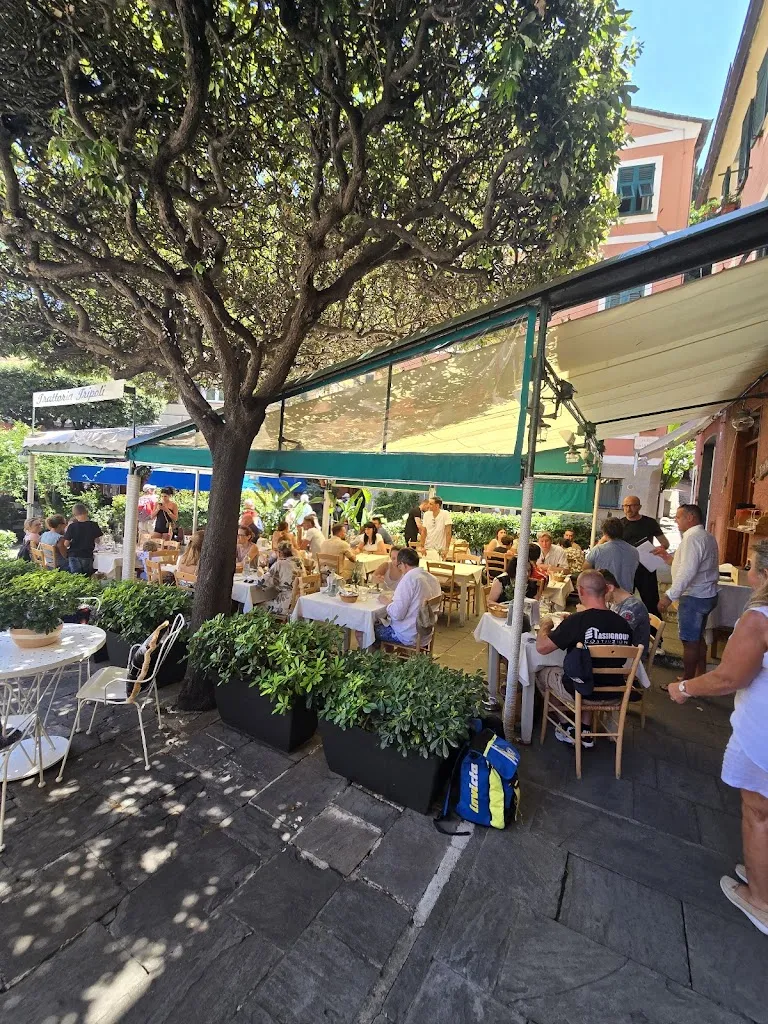 Yuval K_Trattoria Tripoli_Portofino_review