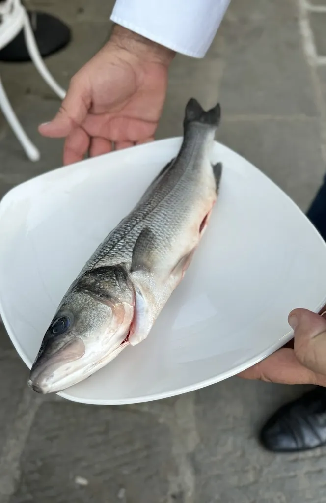 Menu_Pescefino_Portofino_image_2