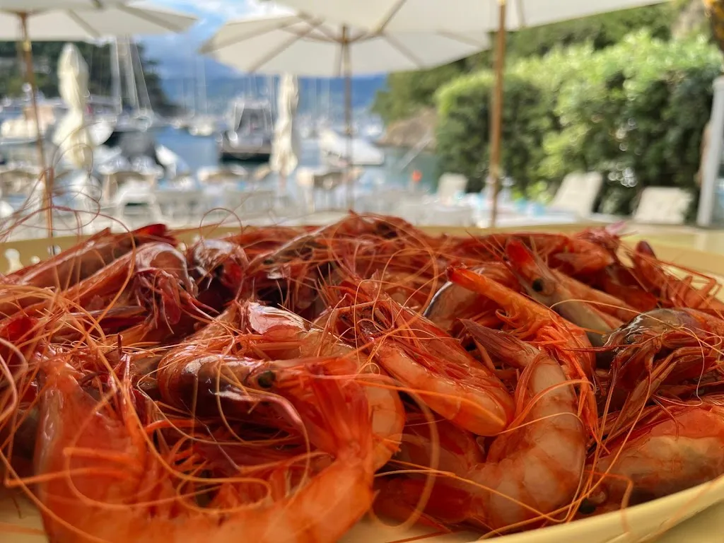 Pescefino_Portofino_slider_image_3