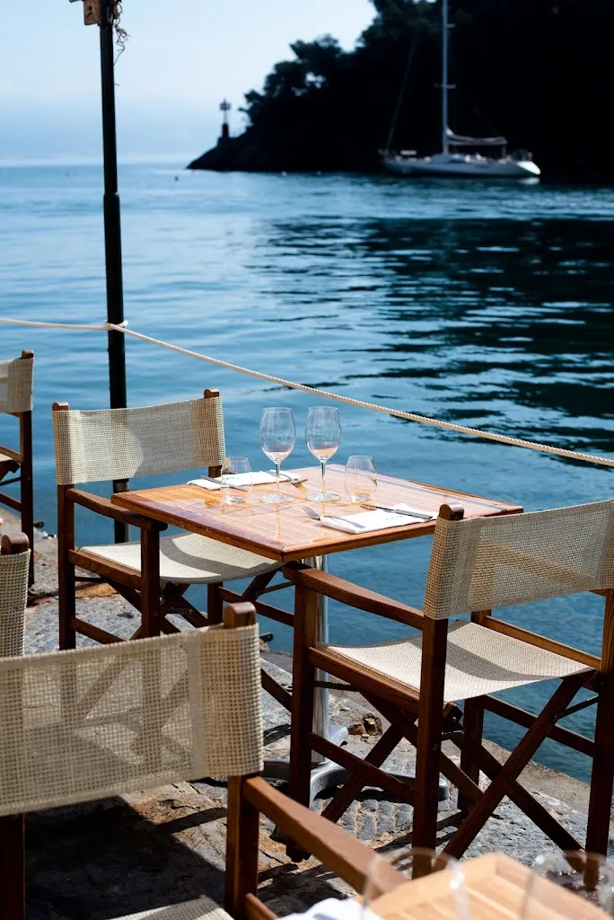 ö Magazín Ristörante restaurant in Portofino