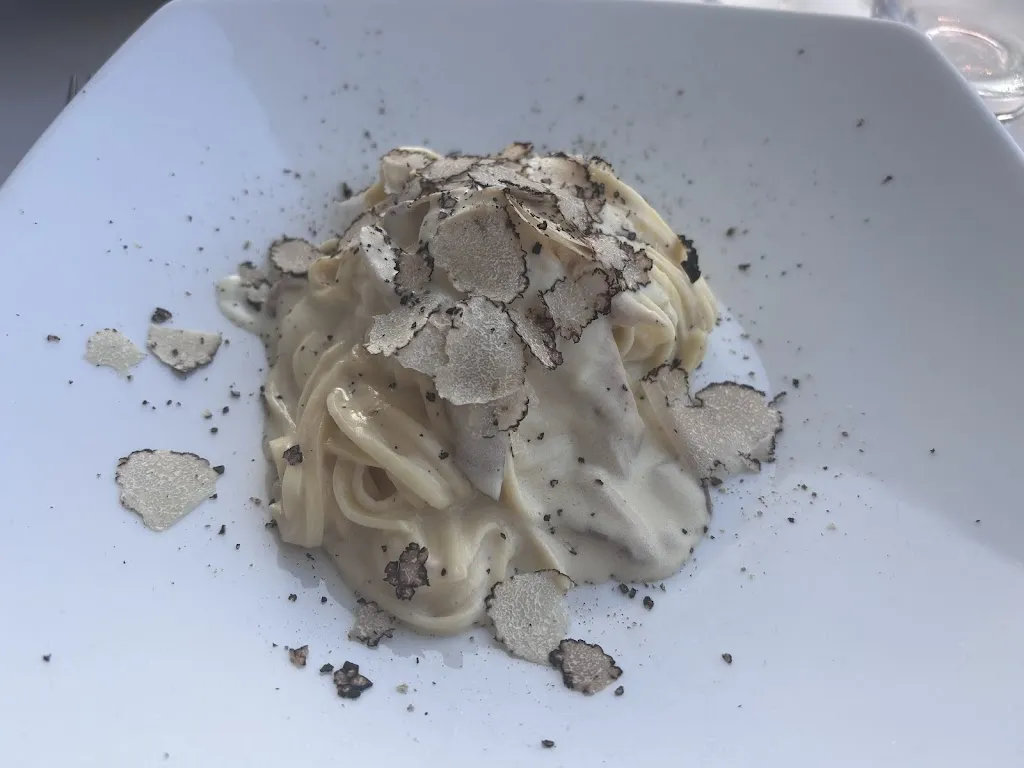 Mira Shami_Strainer_Portofino_recensione