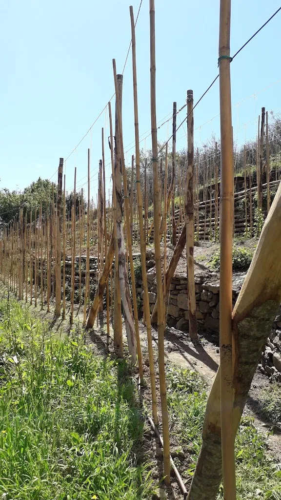 Kevin Ryan_Mulino del Gassetta_Portofino_review