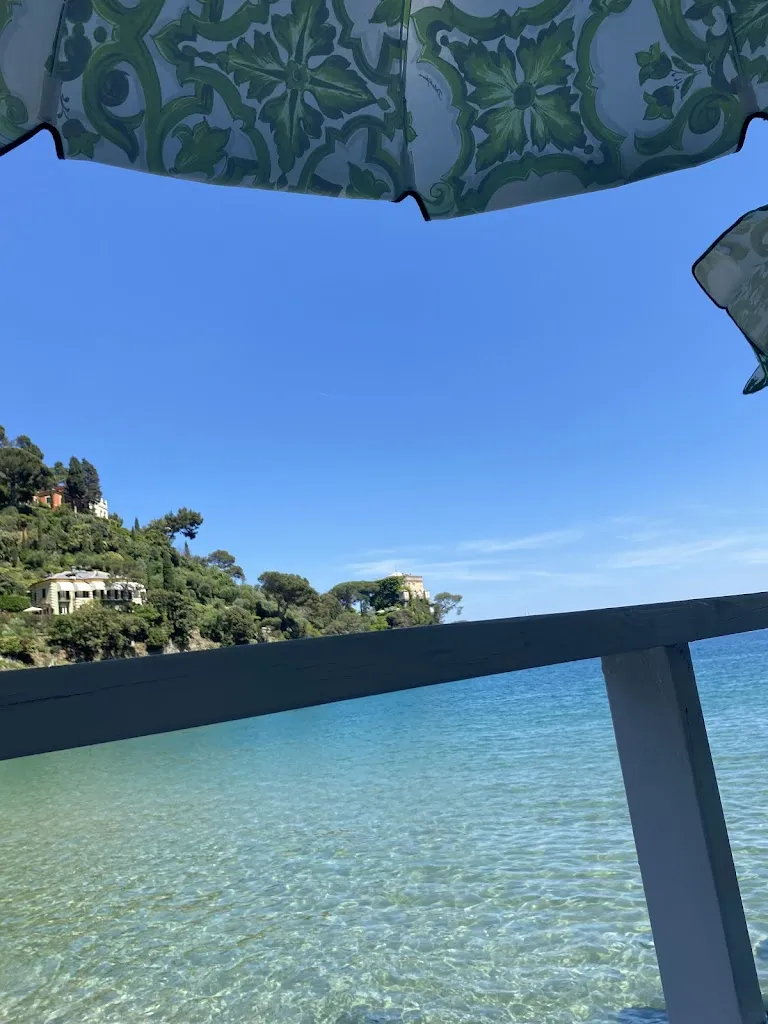Darmoul Dhouha_Vesta Portofino_Portofino_review