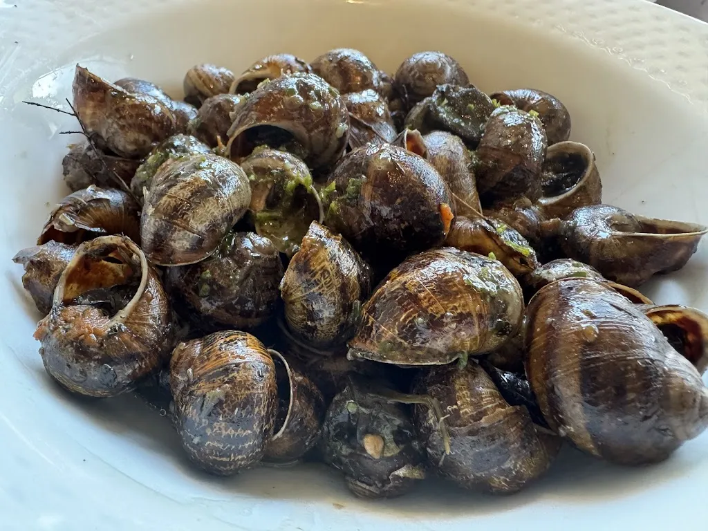 Giorgio Virgilio_New Moon, Ristorante, Pizzeria, Bar_Prelà Castello_recensione