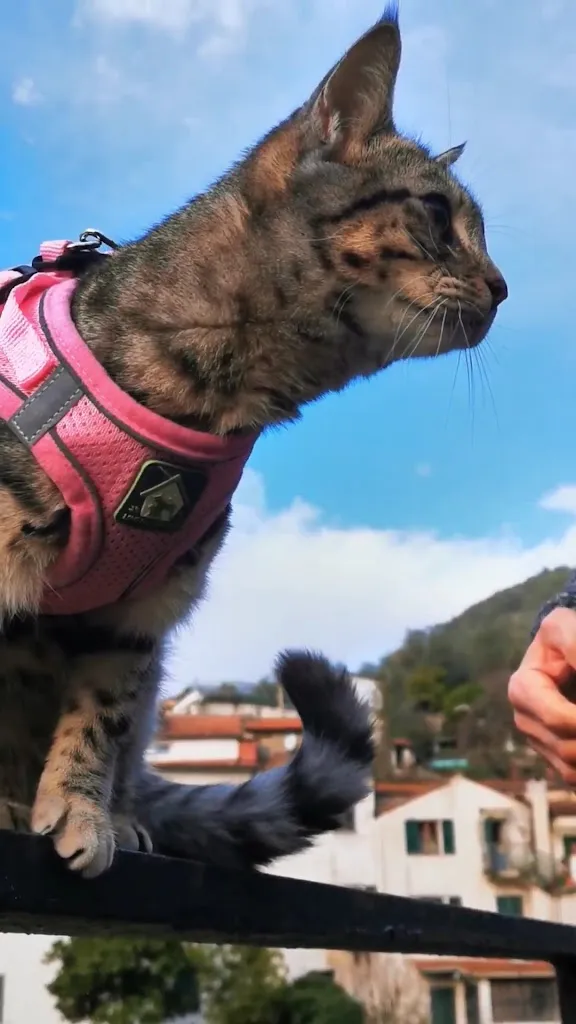 Gigia TravelCat_Ristorante Il Charlie di Ferrero Marinella_Prelà Castello_recensione